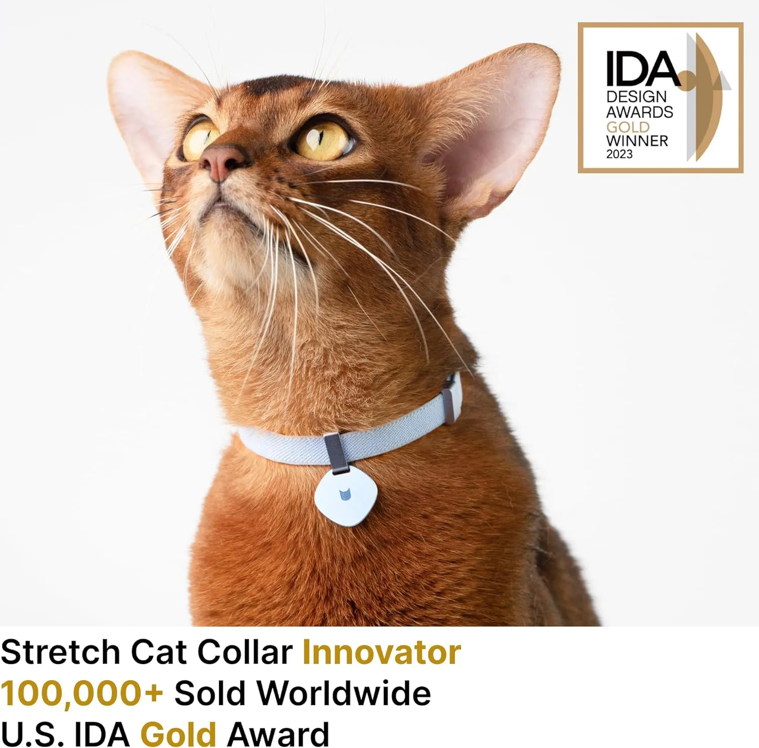 Safety Cat Collar Pro and Tag Set - U.S. IDA Gold Award, Elastic Release Cat Collar Charm Tag, Non Breakaway Cat Collar Adjustable with Charm for Kitten Small Large Cats (Midnight Black, M)