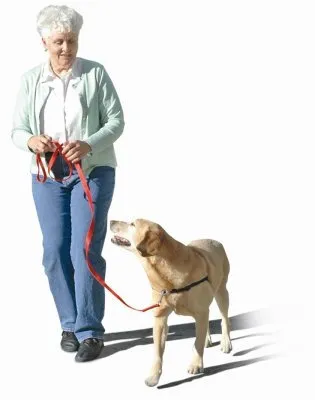 SENSE-ation Dog Harness - Pink