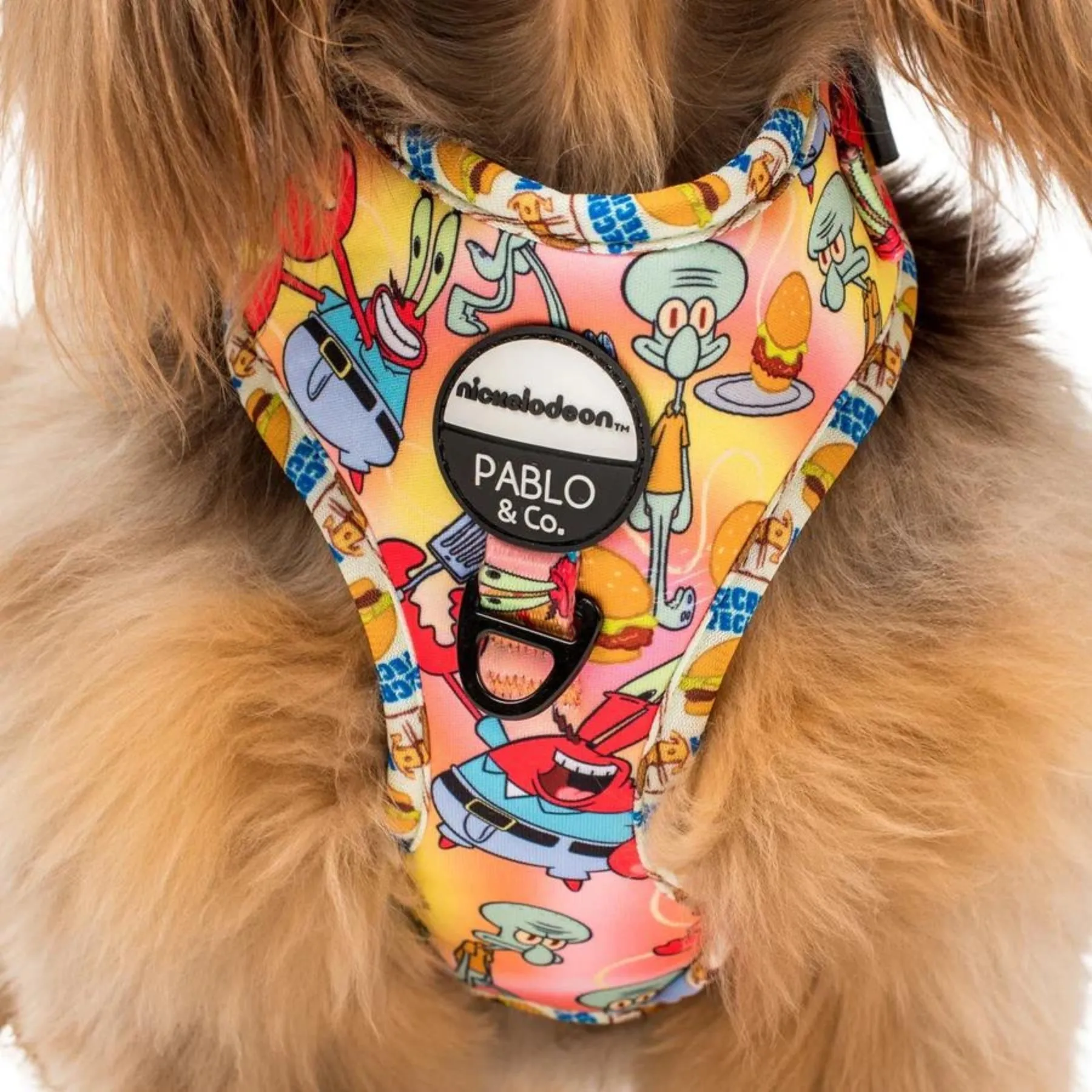 Squidward & Mr. Krabs Adjustable Harness