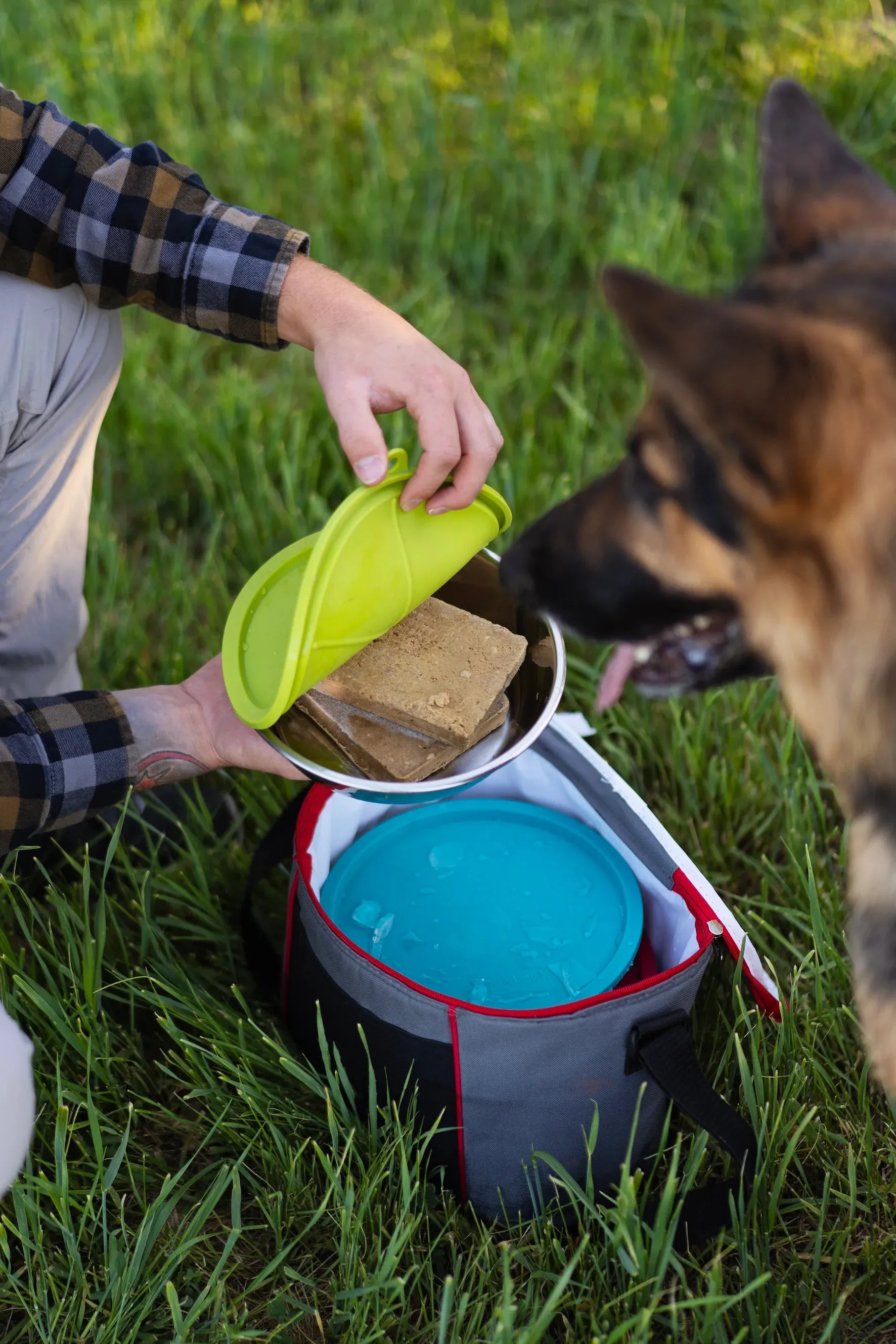 Three Stainless Steel Dog Bowls and Three Silicone Lids, Extra  Large, 6 Cups Per Bowl