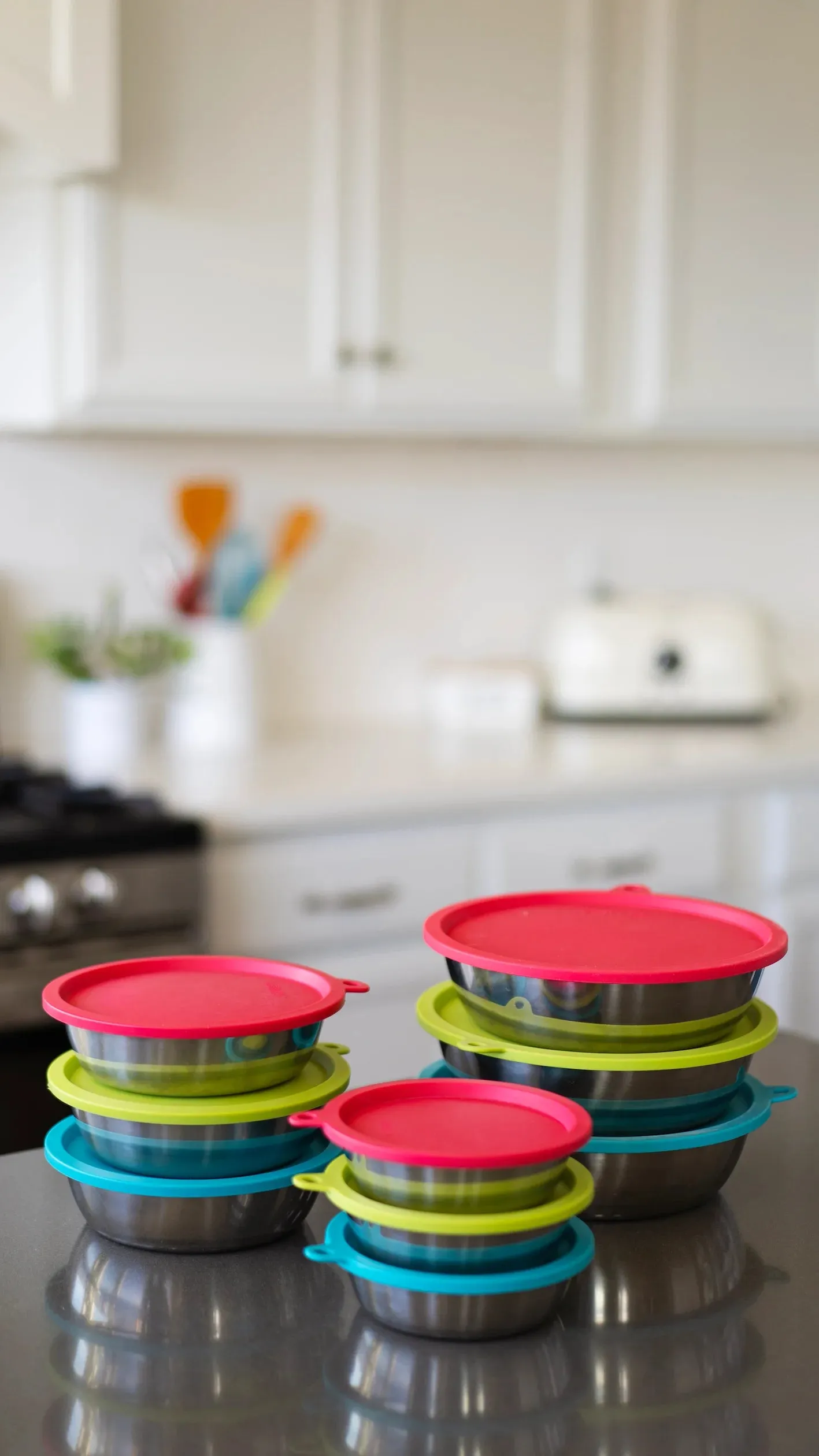 Three Stainless Steel Dog Bowls and Three Silicone Lids, Extra  Large, 6 Cups Per Bowl