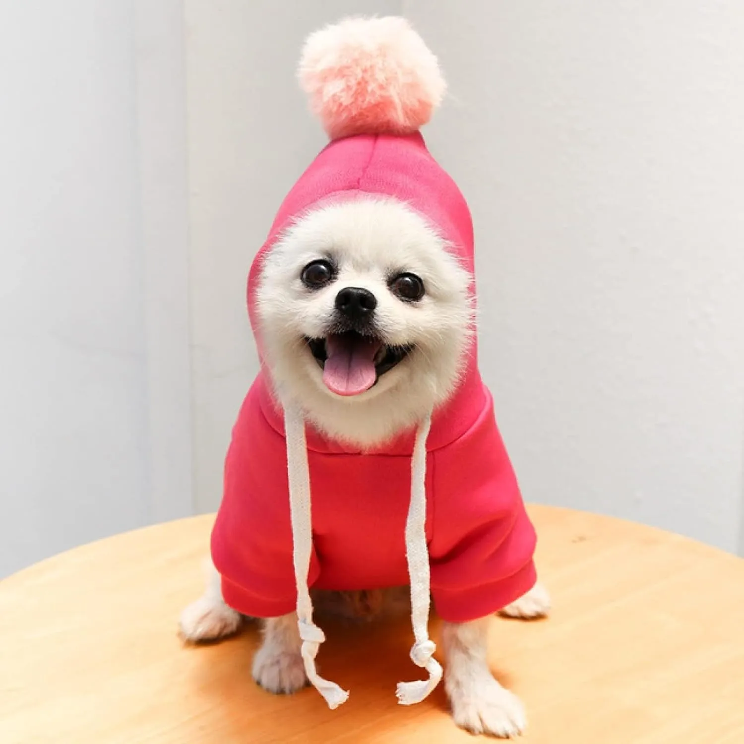 Warm Dog Winter Clothes Cute Fruit Dog Coat Hoodies Fleece Pet Dogs Costume Jacket for French Bulldog Chihuahua Ropa para Perro(1 Rose Red,S)