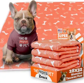 Washable Pee Pads for Dogs 28x32 - 2Pack Super Absorbent Reusable Puppy Potty Training Pad - Waterproof Cloth Whelping Blankets - Urine Leakage & Non-Slip Mat for Housebreaking Carpet